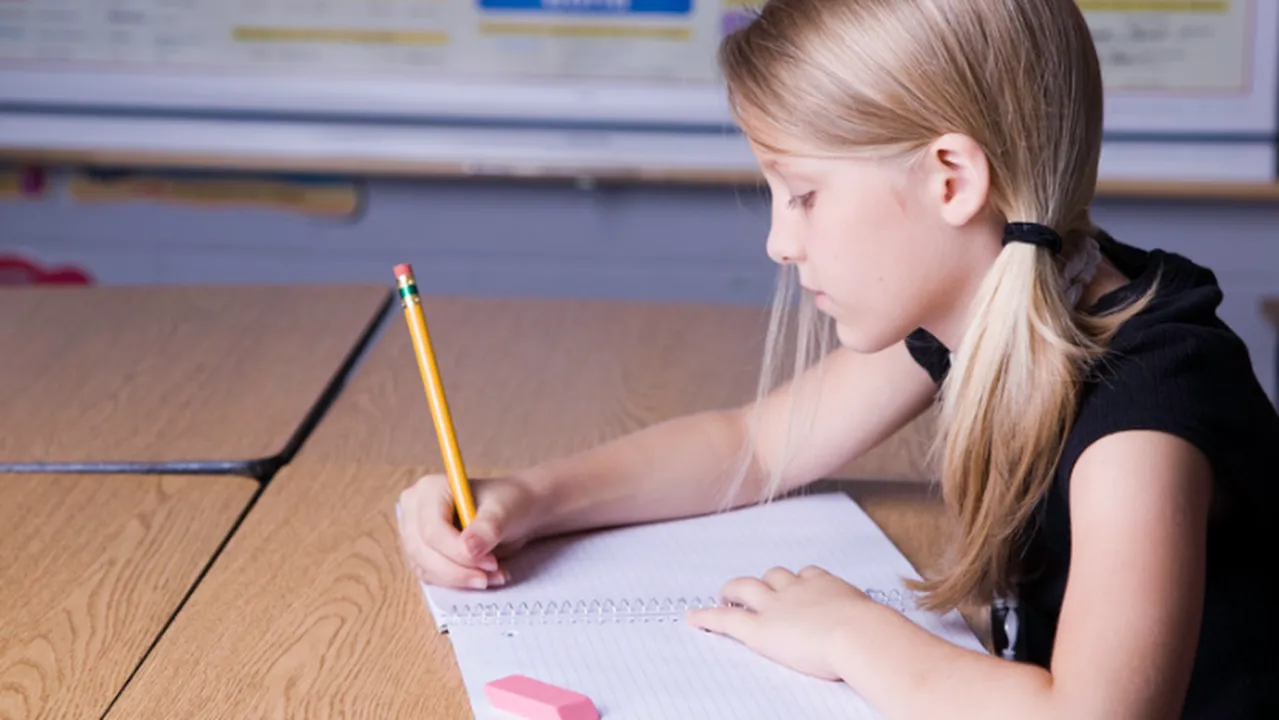 Student self-testing